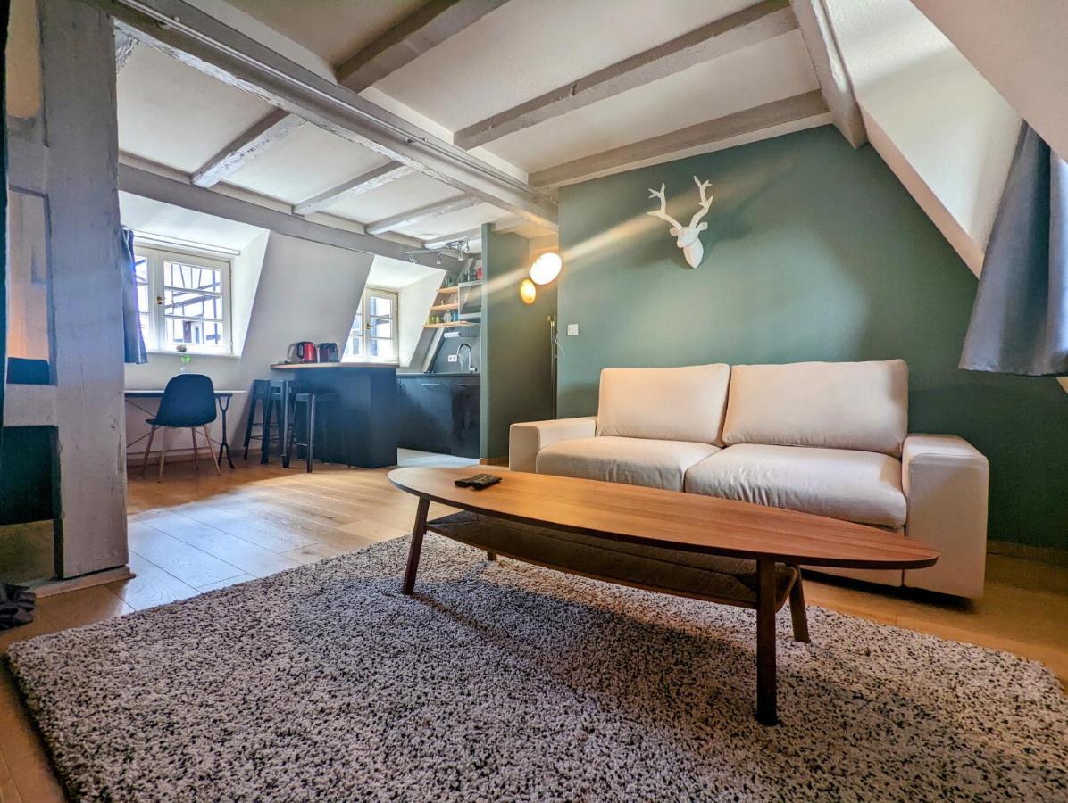 Citycosy Strasbourg - Authentique Batelier Экстерьер фото