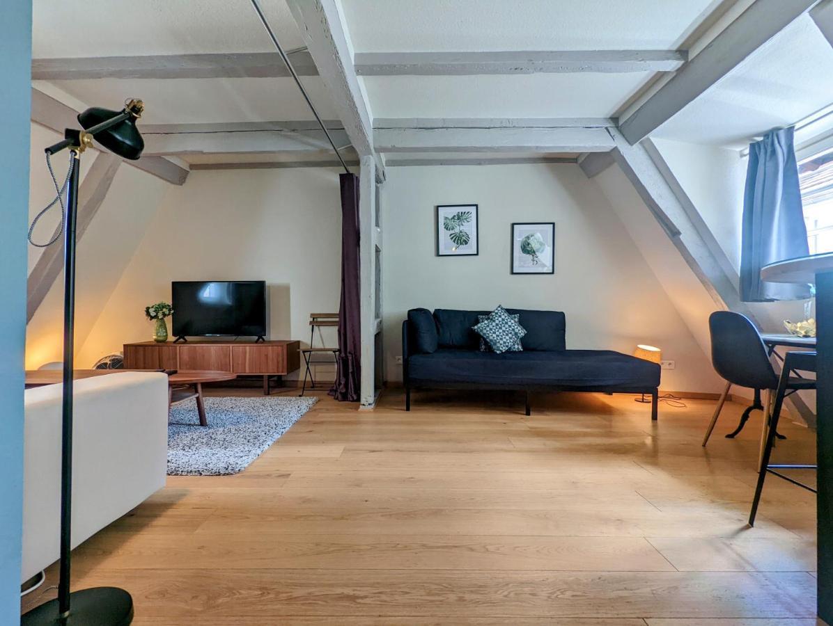 Citycosy Strasbourg - Authentique Batelier Экстерьер фото