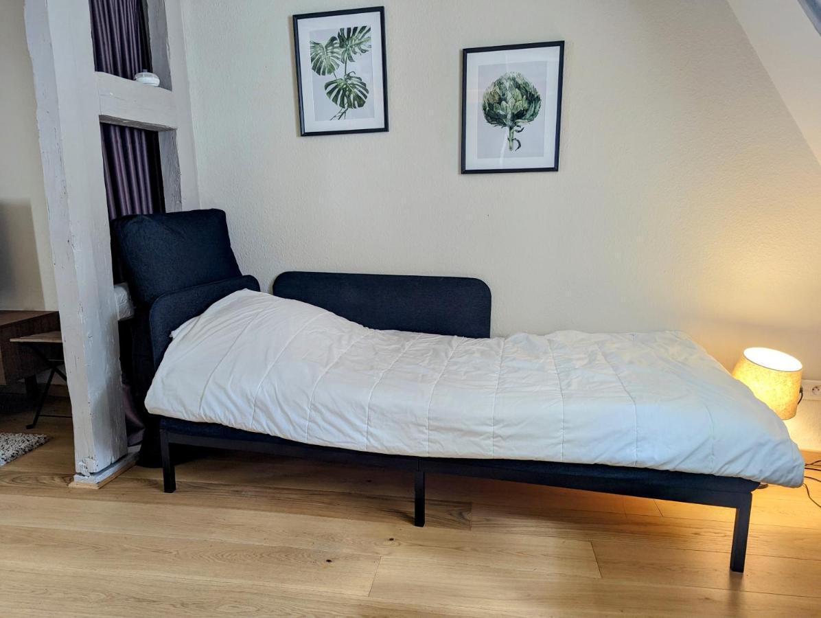 Citycosy Strasbourg - Authentique Batelier Экстерьер фото