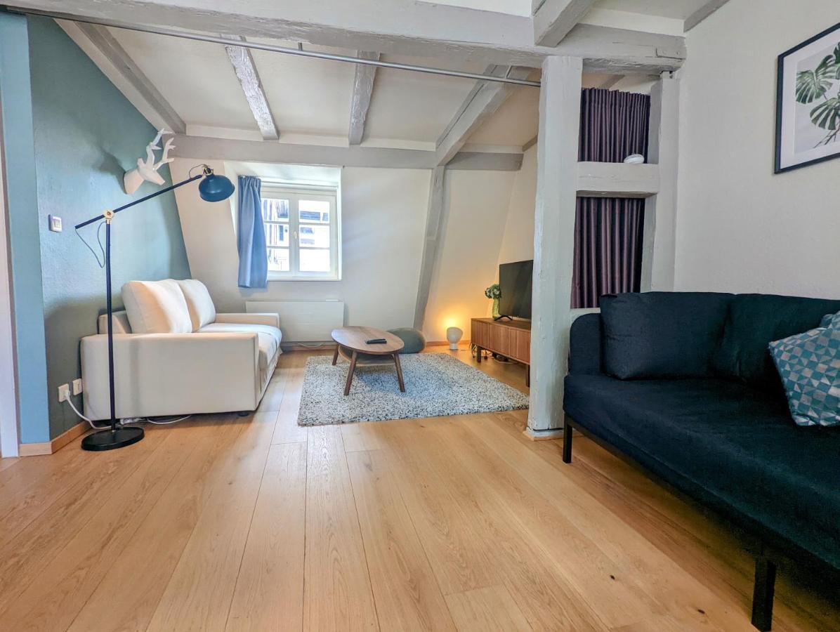 Citycosy Strasbourg - Authentique Batelier Экстерьер фото