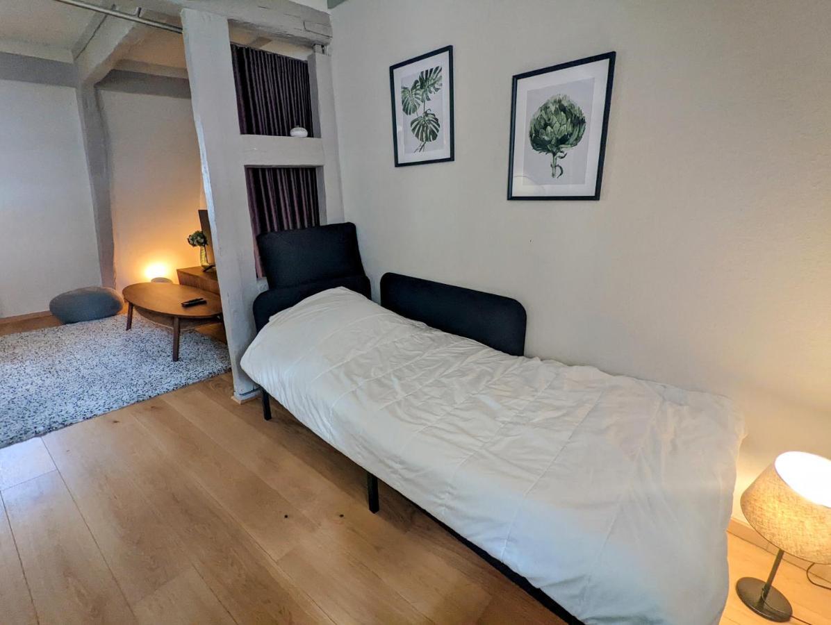 Citycosy Strasbourg - Authentique Batelier Экстерьер фото