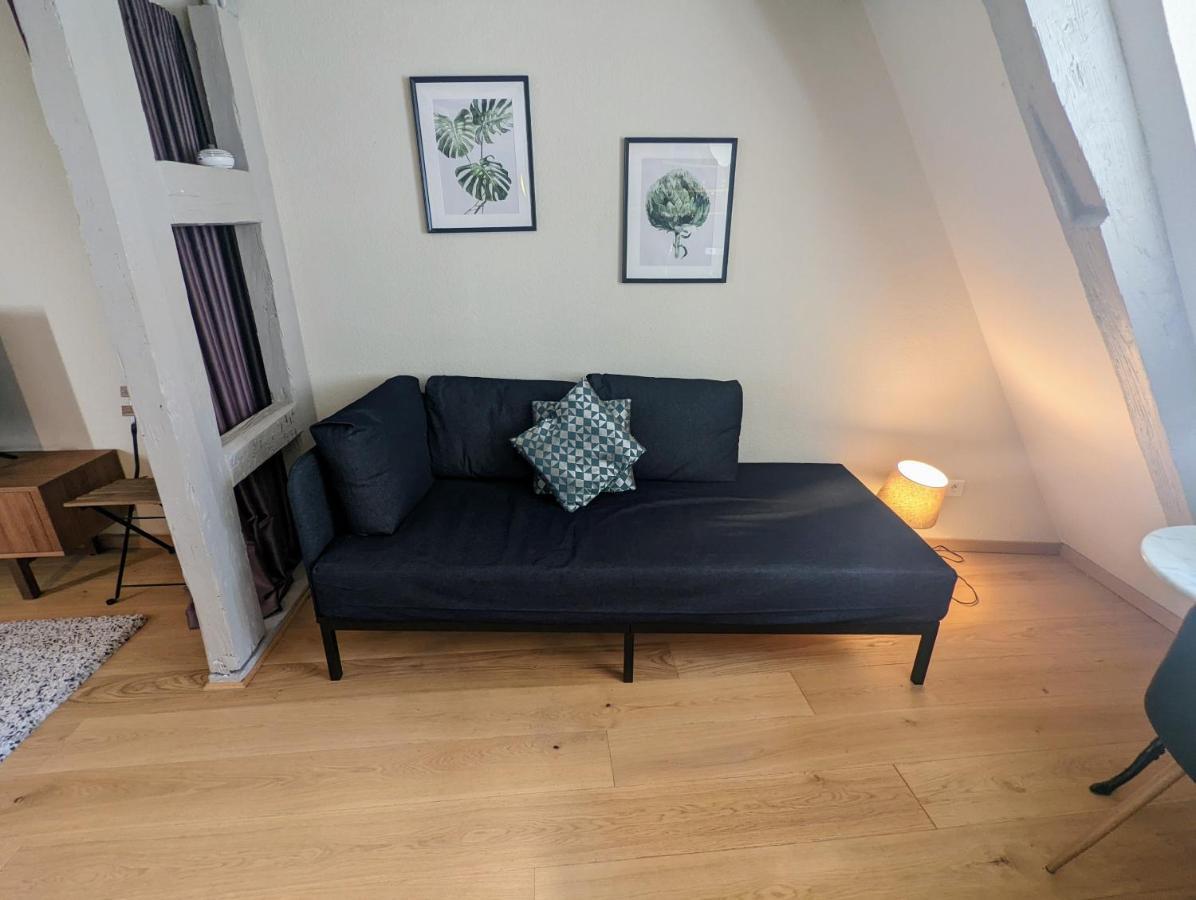 Citycosy Strasbourg - Authentique Batelier Экстерьер фото