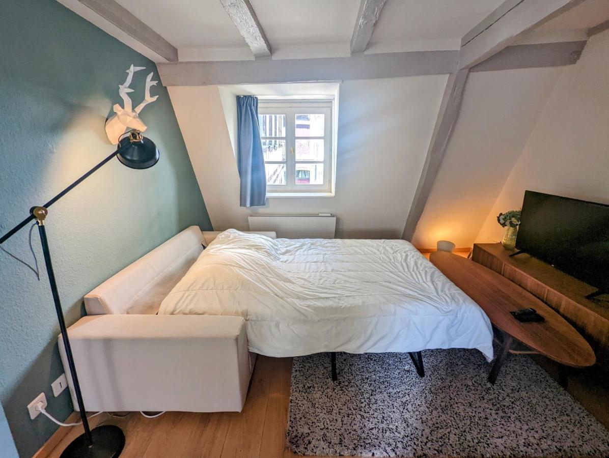 Citycosy Strasbourg - Authentique Batelier Экстерьер фото